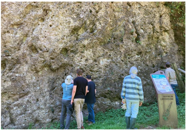 Field group at the foot of the vuggy breccia deposit below the Rochechouart castle