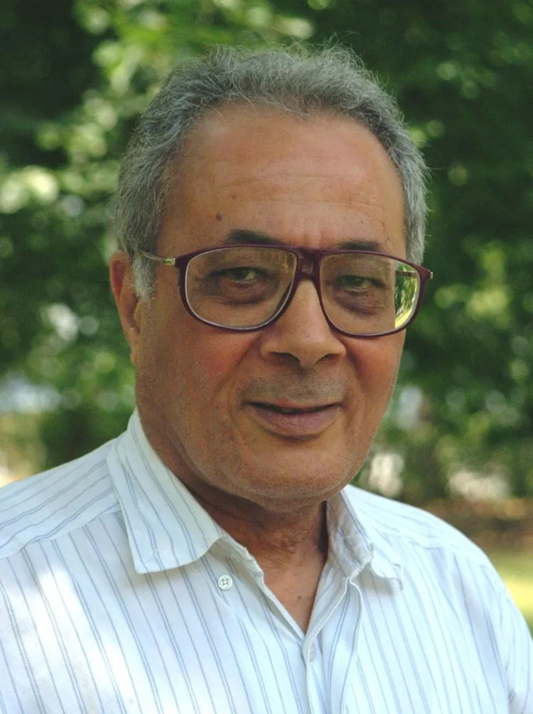 Prof. Dr. Ahmed El-Goresy