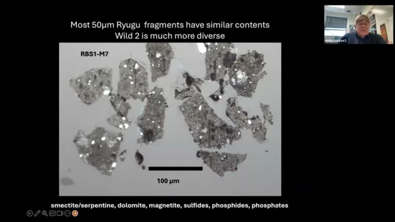 The Diverse Rocky Materials that Formed Comets